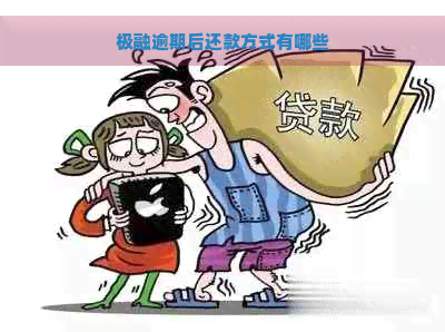 极融逾期后还款方式有哪些