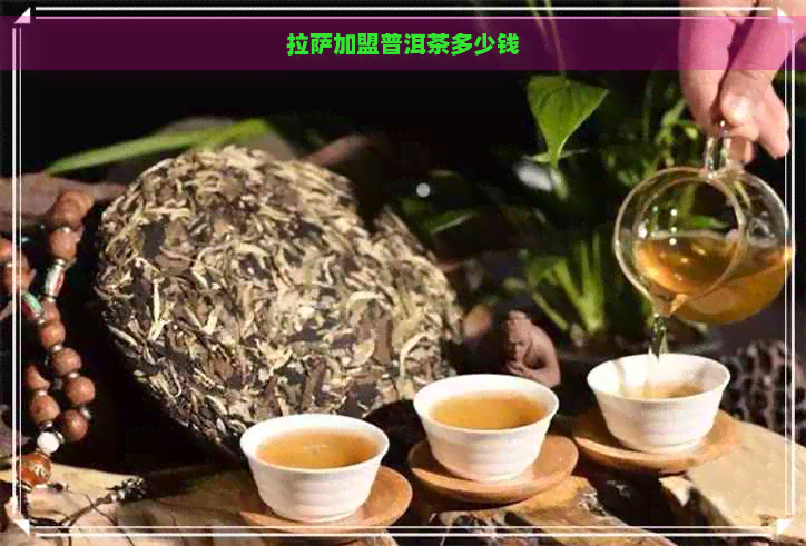      加盟普洱茶多少钱