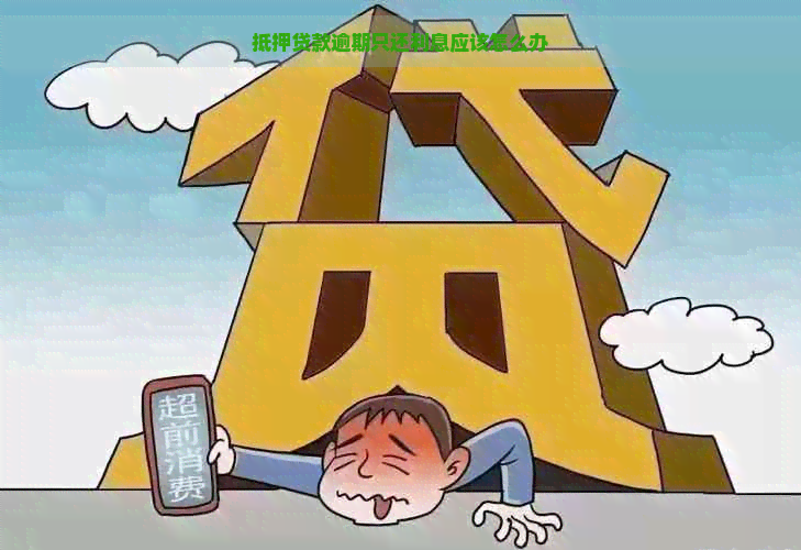 抵押贷款逾期只还利息应该怎么办