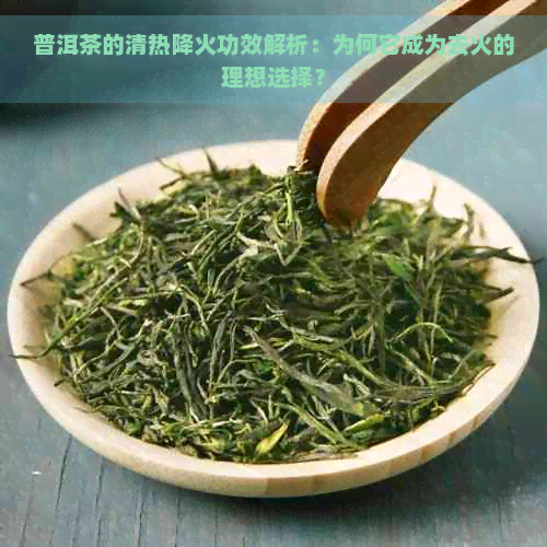 普洱茶的清热降火功效解析：为何它成为去火的理想选择？