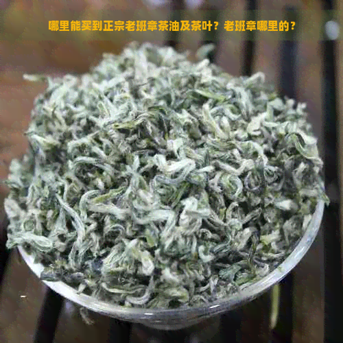 哪里能买到正宗老班章茶油及茶叶？老班章哪里的？