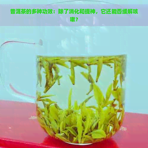 普洱茶的多种功效：除了消化和提神，它还能否缓解咳嗽？