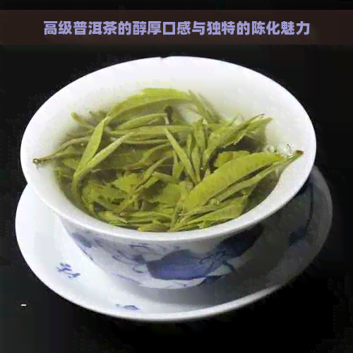 高级普洱茶的醇厚口感与独特的陈化魅力