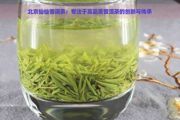 北京仙仙普洱茶：专注于高品质普洱茶的创新与传承