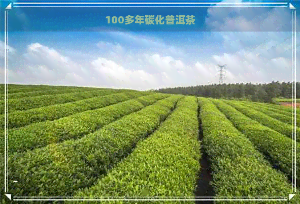 100多年碳化普洱茶