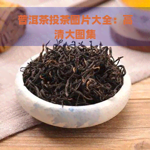 普洱茶投茶图片大全：高清大图集