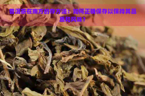 普洱茶在南方的存方法：如何正确保存以保持其品质和风味？