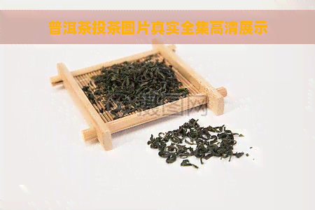 普洱茶投茶图片真实全集高清展示