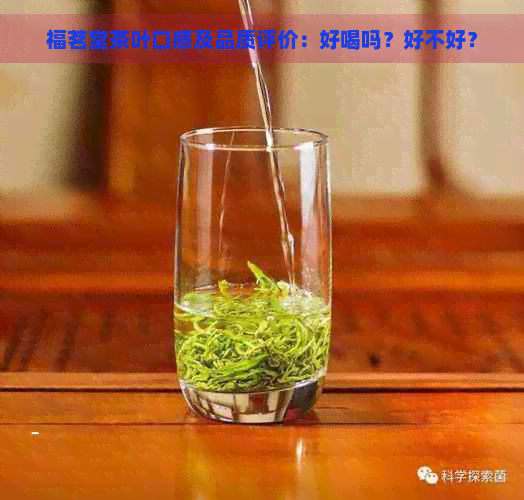 福茗堂茶叶口感及品质评价：好喝吗？好不好？