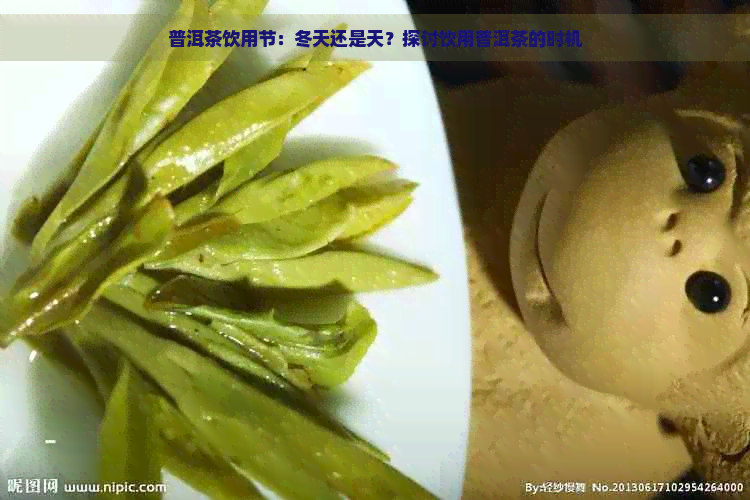 普洱茶饮用节：冬天还是天？探讨饮用普洱茶的时机