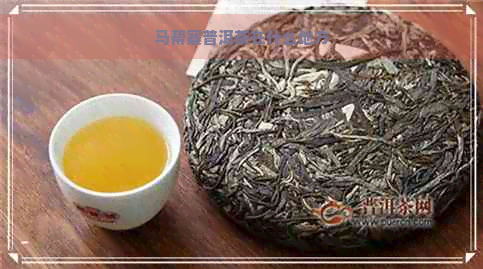 马帮寨普洱茶在什么地方