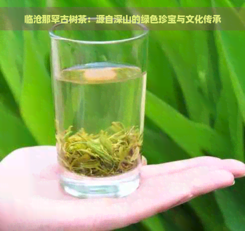 临沧那罕古树茶：源自深山的绿色珍宝与文化传承