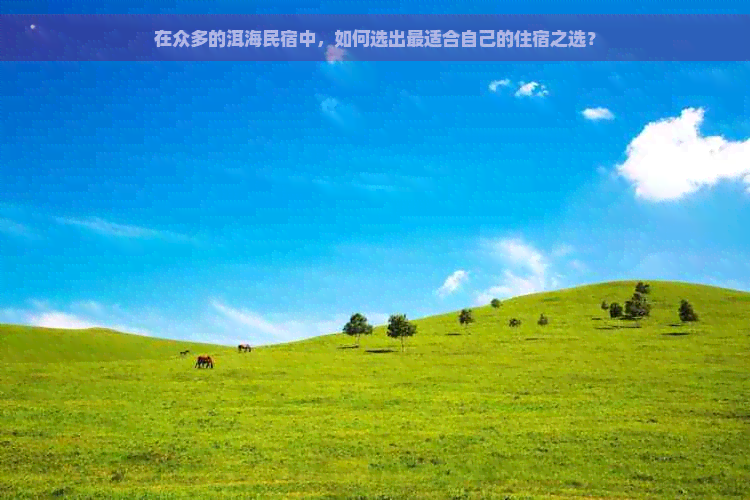 在众多的洱海民宿中，如何选出最适合自己的住宿之选？