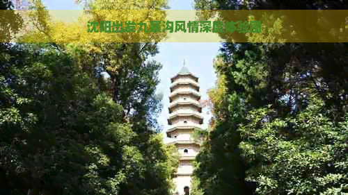 沈阳出发九寨沟风情深度体验团