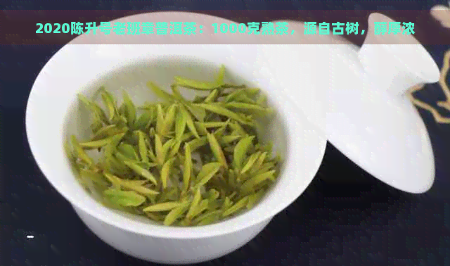 2020陈升号老班章普洱茶：1000克熟茶，源自古树，醇厚浓