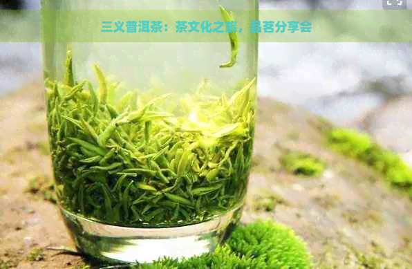 三义普洱茶：茶文化之旅，品茗分享会