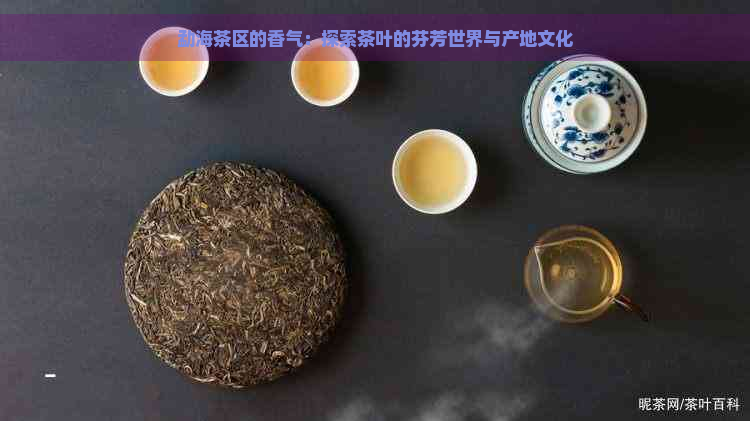 勐海茶区的香气：探索茶叶的芬芳世界与产地文化