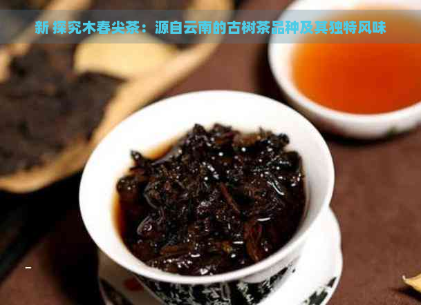 新 探究木春尖茶：源自云南的古树茶品种及其独特风味