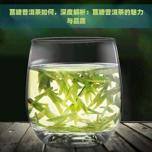 菖塘普洱茶如何，深度解析：菖塘普洱茶的魅力与品质