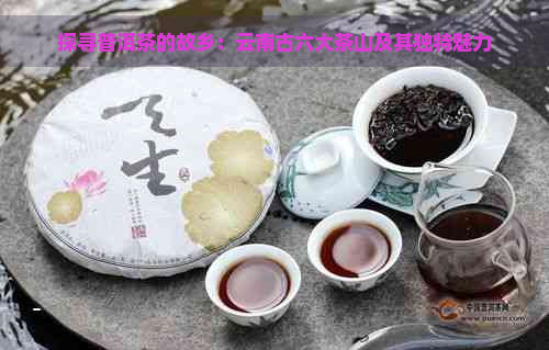 探寻普洱茶的故乡：云南古六大茶山及其独特魅力