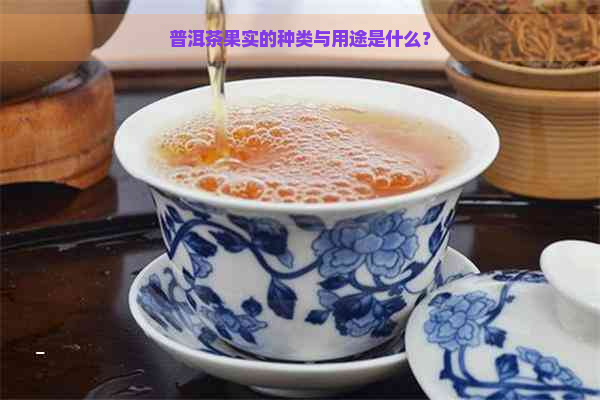 普洱茶果实的种类与用途是什么？