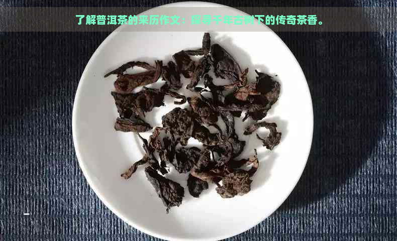 了解普洱茶的来历作文：探寻千年古树下的传奇茶香。