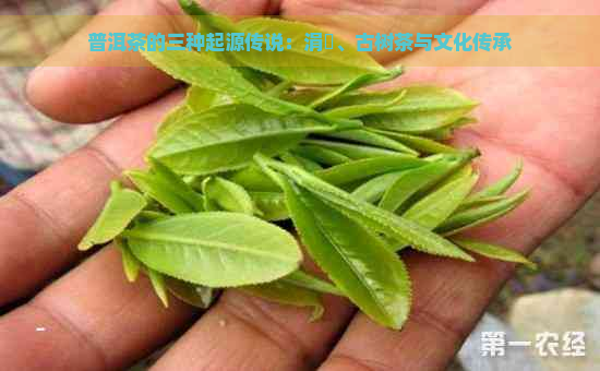 普洱茶的三种起源传说：涓夌、古树茶与文化传承