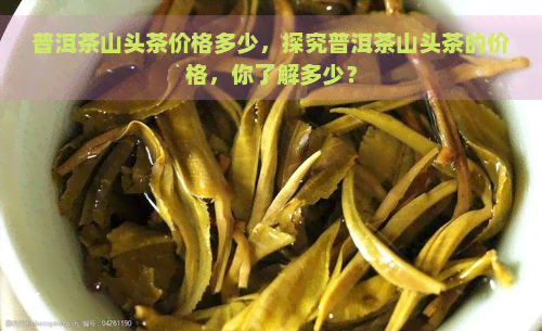 普洱茶山头茶价格多少，探究普洱茶山头茶的价格，你了解多少？