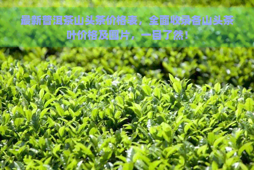 最新普洱茶山头茶价格表，全面收录各山头茶叶价格及图片，一目了然！