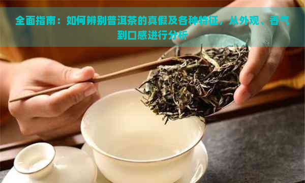 全面指南：如何辨别普洱茶的真假及各种特征，从外观、香气到口感进行分析