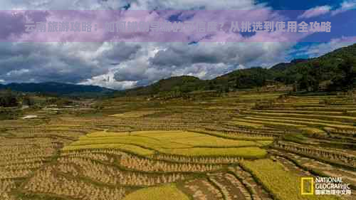 云南旅游攻略：如何辨别导游的可信度？从挑选到使用全攻略