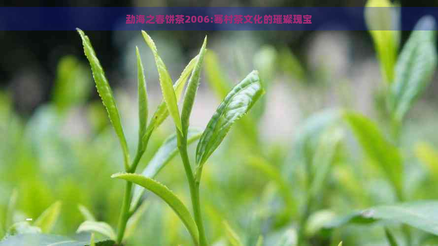 勐海之春饼茶2006:骞村茶文化的璀璨瑰宝