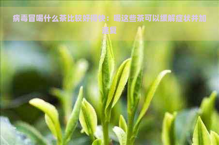 病冒喝什么茶比较好得快：喝这些茶可以缓解症状并加速复