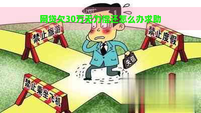 网贷欠30万无力偿还怎么办求助