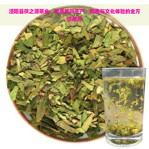 泾阳县茯之源茶业：优质茶叶生产、销售与文化体验的全方位服务