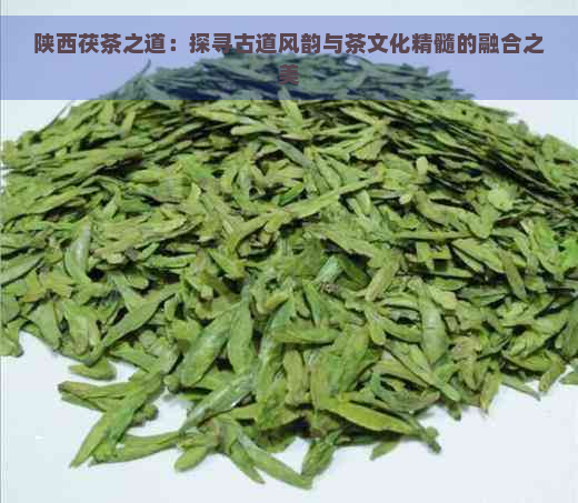 陕西茯茶之道：探寻古道风韵与茶文化精髓的融合之美