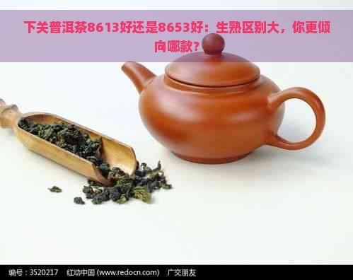 下关普洱茶8613好还是8653好：生熟区别大，你更倾向哪款？