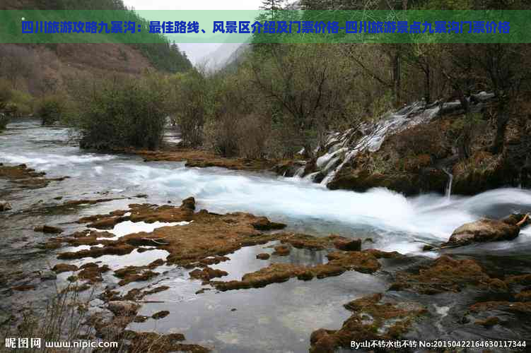 四川旅游攻略九寨沟：更佳路线、风景区介绍及门票价格-四川旅游景点九寨沟门票价格