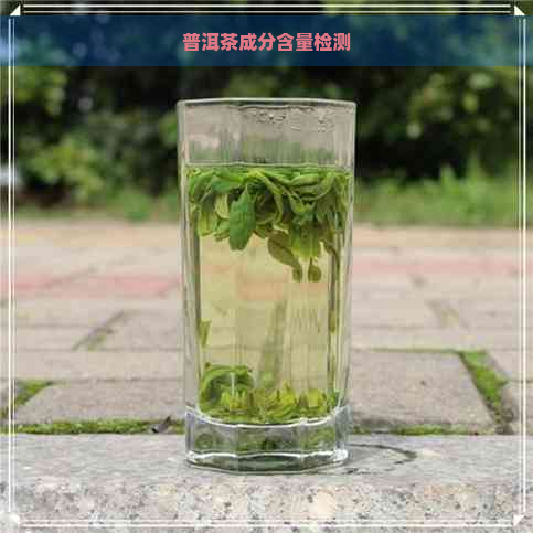 普洱茶成分含量检测