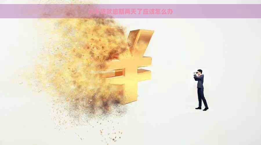 小米贷款逾期两天了应该怎么办