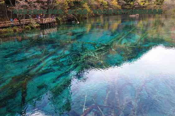 海南至全国向北深度游：热门线路、特色玩法与全方位旅游攻略推荐