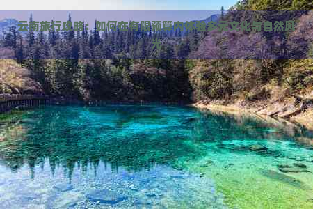 云南旅行攻略：如何在有限预算内体验多元文化与自然风光