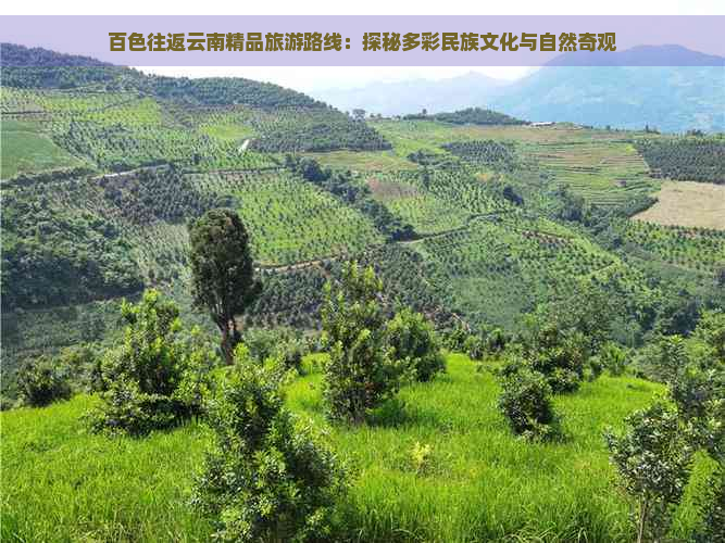 百色往返云南精品旅游路线：探秘多彩民族文化与自然奇观