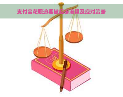 支付宝花呗逾期被起诉流程及应对策略