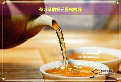 茶叶紧的好还是松的好