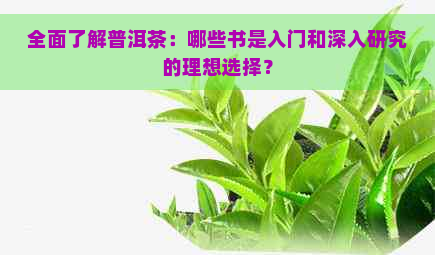 全面了解普洱茶：哪些书是入门和深入研究的理想选择？