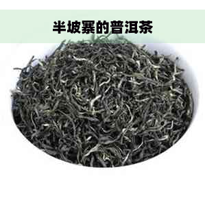 半坡寨的普洱茶