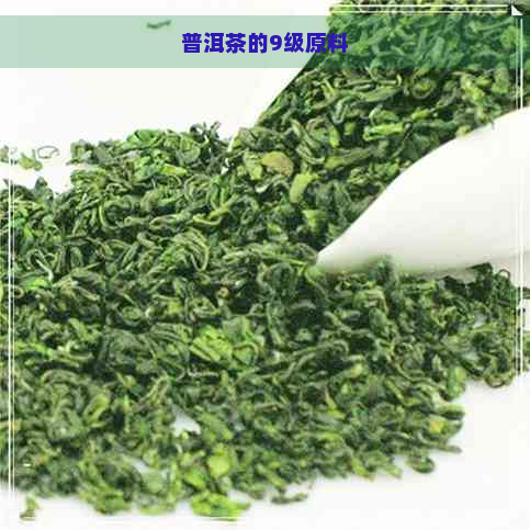 普洱茶的9级原料