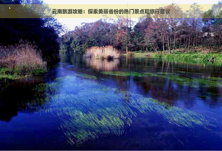 云南旅游攻略：探索美丽省份的热门景点和旅行建议