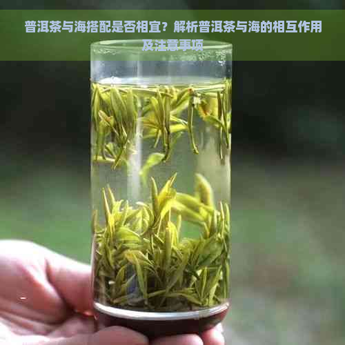 普洱茶与海搭配是否相宜？解析普洱茶与海的相互作用及注意事项